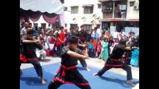 Psht Cabang Khusus Johor Malaysia Bersama Persatuan Silat Cekak Demo