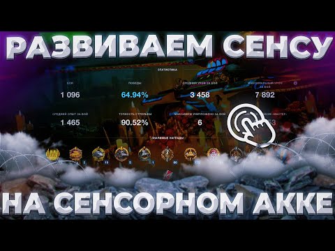 Видео: АНСКИЛИМ С СЕНСЫ | Tanks Blitz