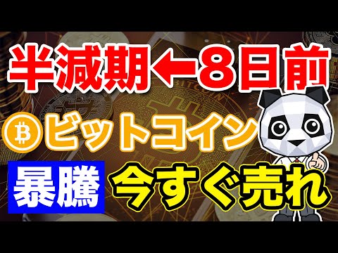 【半減期】ビットコイン半減期前の「今」これやって！買うならここ！【仮想通貨】