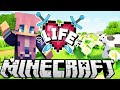 Moo Moo Meadows | Ep. 2 | Minecraft X Life SMP