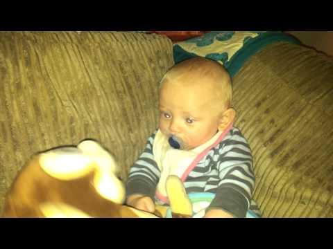 Cute baby scared by farting monkey