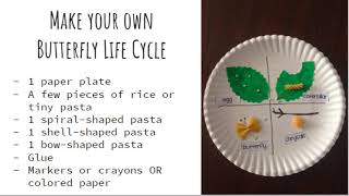 Make a Butterfly Life Cycle Craft