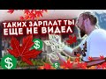 УЗНАЙ СВОЮ ЗАРПЛАТУ В КАНАДЕ, ТОЛЬКО НЕ ПЛАЧЬ // ТАКИХ ЗАРПЛАТ КАК В КАНАДЕ ТЫ ЕЩЕ НЕ ВИДЕЛ