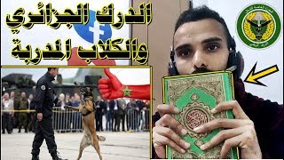 مشاء لله الدرك الوطني الجزائري يدرب الكلاب بإحترافية كبيرة