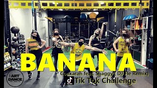 BANANA - TIK TOK - Conkarah (feat. Shaggy) (DJ Fle Remix) l Coreografia l CIa Art Dance Resimi