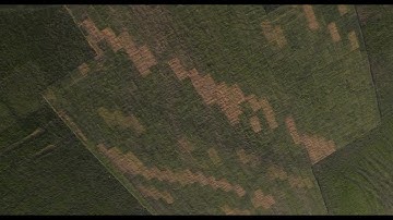 Silly Whoop FPV Freestyle in the Minecraft Universe - geprc 3 inch quad