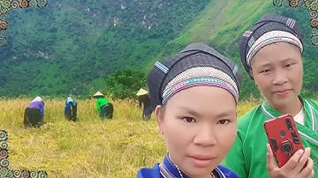 Hát nùng đối đáp