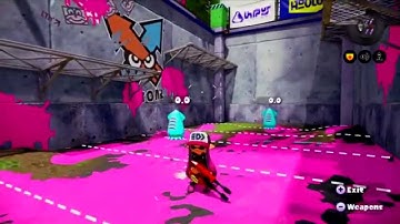 Splatoon - Carbon Roller & Custom Dual Squelcher