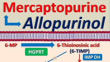 Mercaptopurine and Allopurinol drug interaction