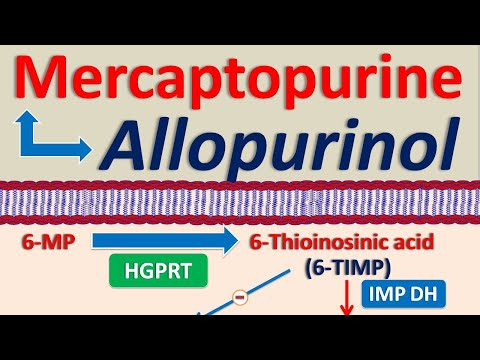 Mercaptopurine and Allopurinol drug interaction