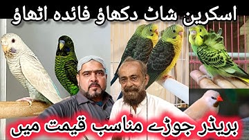 Screen Shot Dikhao Discount Me Lejao | Lalukhet Birds Market Me Demand Oper |Jaal Rate@duabirds007