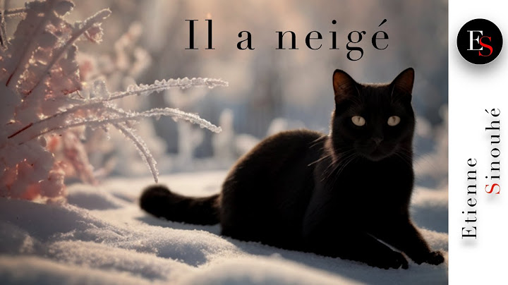 Il a neigé - Maurice Carême - Etienne Sinouhé - Lecture musicale de poème