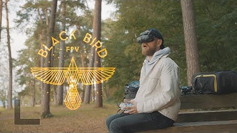 BLACK BIRD FPV - FPV FREESTYLE - THIS IS BRUCE LEE SHIT! 🥷🥷🥷🥷