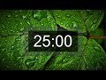 Countdown timer, 25 minutes with relaxing music for concentration