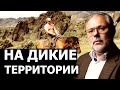 Новая технология борьбы с диким западом. Михаил Хазин, Каринэ Геворгян