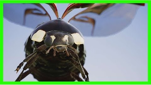 Test out 4k on xbox one x with microsoft