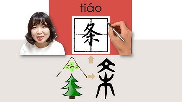 【NEW HSK2】_#HSK3#_条/條/tiao(measure word)How to Pronounce/Say/Write Chinese Vocabulary/Character