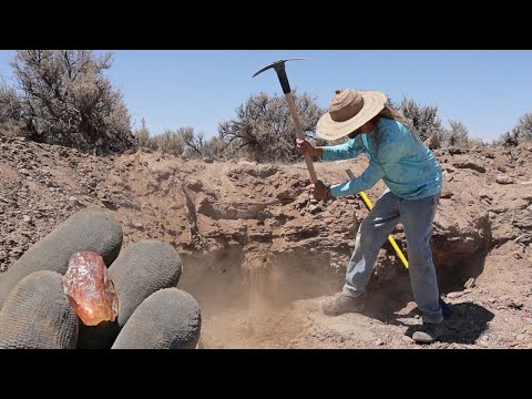 Video: Co je oregonský sluneční kámen?