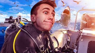 DIVING INTO SHARKS!!!