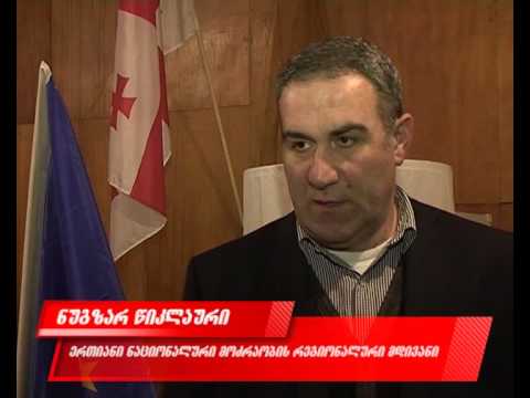 ბორჯომში  ნაციონალური მოძრაობის ადგილობრივი ორგანიზაცის თავმჯდომარე აირჩიეს