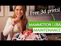 Mammotion luba robot lawnmower  5 maintenance tips you might not know