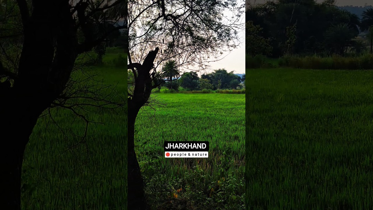 The Secret Wonders of Jharkhand