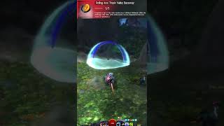 Rolling Ace: Tropic Valley Raceway (Achievement Guide) - Guild Wars 2