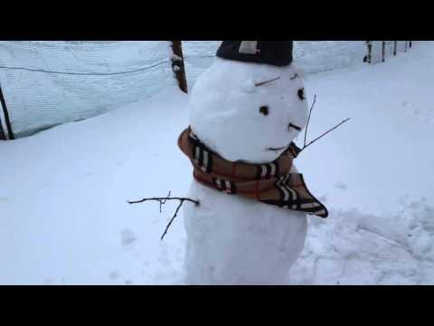 Видео: Өвлийн улиралд цасан хүн хэрхэн бүтээх вэ