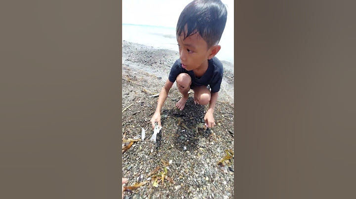 A 10 year old boy helping his dad to catch a fish everyday! Amazing!!#shorts