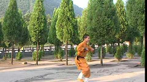 Shaolin Ying Zhua Pao Quan