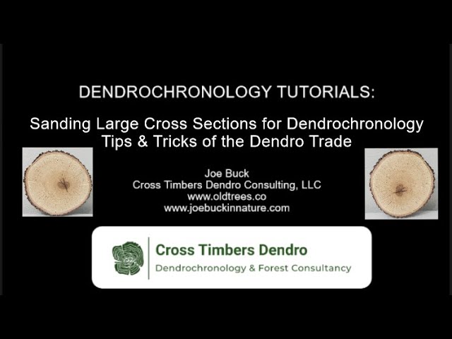 Sanding Large Cross Sections for Dendrochronology: Tips & Tricks of the Dendro Trade (w/ Microscopy)