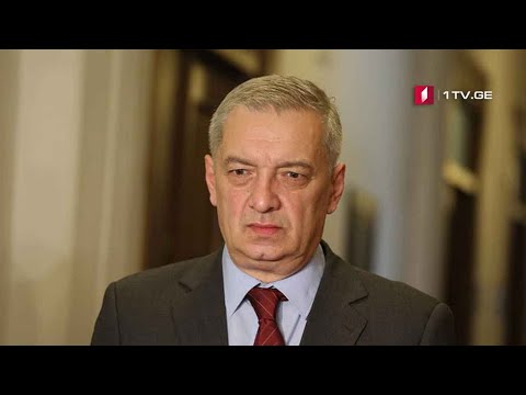 რა საკითხები განიხილეს უმრავლესობის სხდომაზე