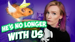 You Can't Save them All! | Rusty's Rescue Story | Munchie's Place
