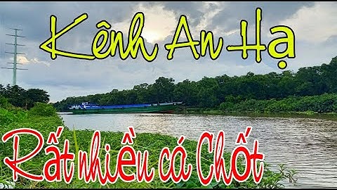 Câu Cá Chốt Hóc Môn | Đi Câu Cá