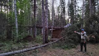 Пошли открывать избы!Ель упала на избу! Соболь воришка вернулся снова!