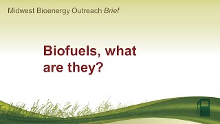 Biofuels: what are they?