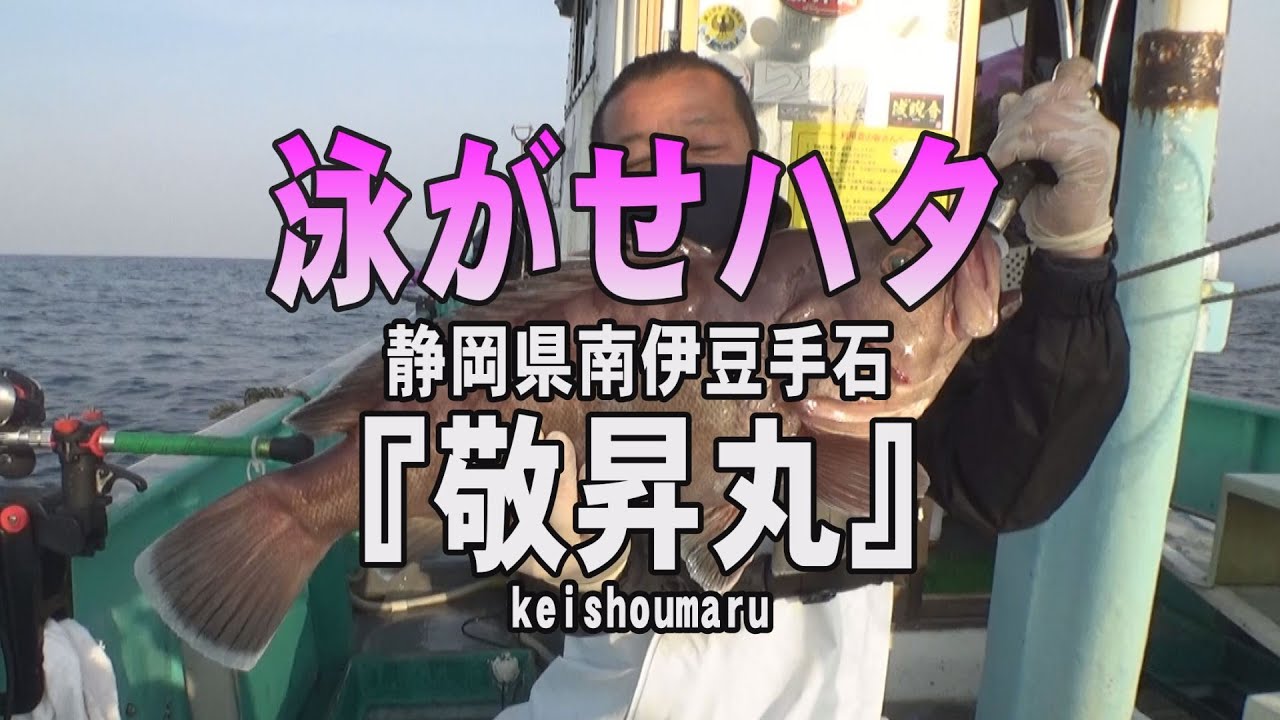 敬昇丸・静岡県南伊豆手石港・泳がせハタ【釣りビジョン マガジン】