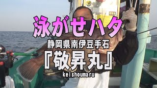 敬昇丸・静岡県南伊豆手石港・泳がせハタ【釣りビジョン マガジン】