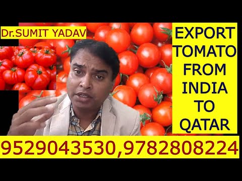 EXPORT TOMATO FROM INDIA TO QATAR