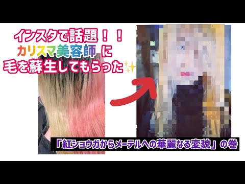 大阪美容室 第43話 大阪のカリスマ美容師さんに髪の毛お願いしたら犬になった の巻 Youtube