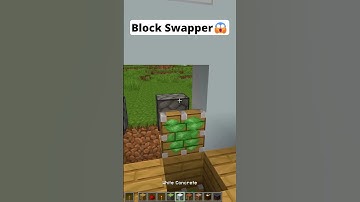 Minecraft Block Swapper😱 #shorts