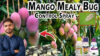 Control Mango Mealy Bug in 30 Seconds | Quick Mango Farming Tip