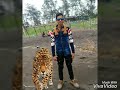 Dosti song