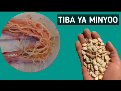 MBEGU ZA TIKITI PAPAI NA MABOGA ZINAVYOTIBU MINYOO NA COCCIDIOSIS KWA HARAKA ZAIDI Kingofarm Kuku