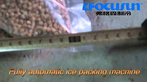 Fully automatic Ice Packaging Machine FIP-01A II for corn