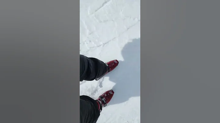 Sled Dog Snowskates - 2022 Powder Mt. Utah
