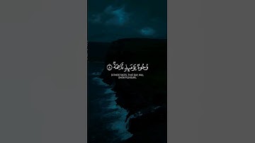 📖 سورة الغاشية |🎙عبدالرحمن مسعد