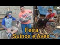 Suíno é Ave | Feira dos Porcos e das Galinhas em Campina Grande-PB 13/01/2021