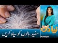 How to Treat White Hair Issue | Health Tips | Naya Din | Samaa TV image