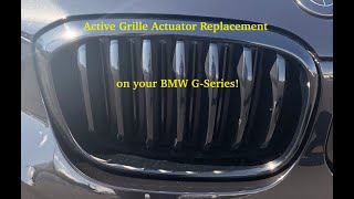 BMW Grille Actuator replacement on G Series